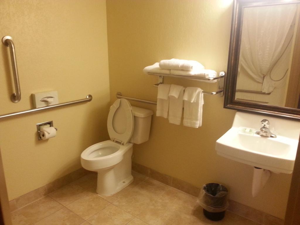 Quality Inn & Suites Saginaw Szoba fotó