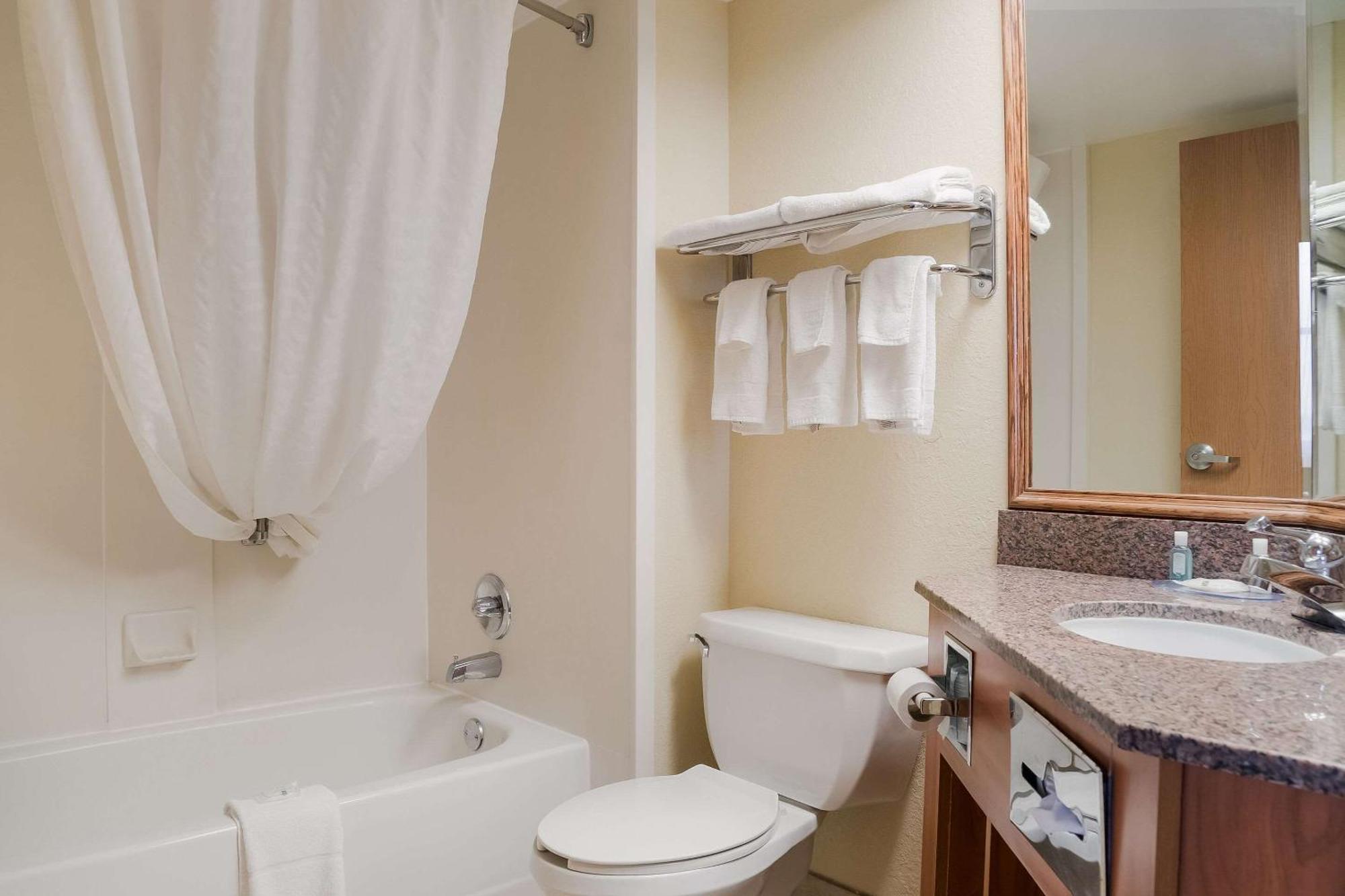 Quality Inn & Suites Saginaw Kültér fotó
