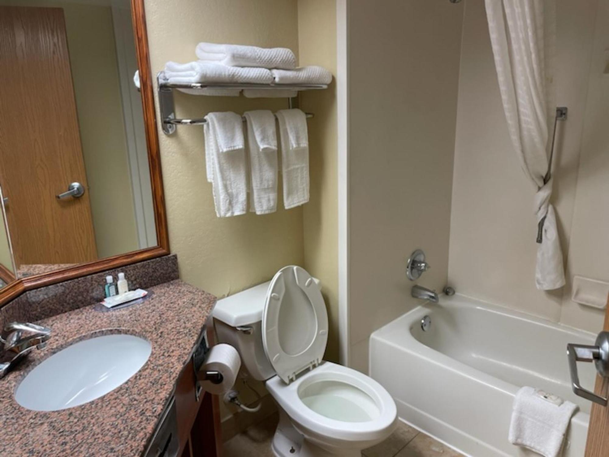 Quality Inn & Suites Saginaw Kültér fotó